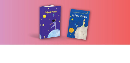 La Version Féministe du Petit Prince : Le Cadeau de Noël Idéal pour Tous de 4 à 104 Ans ! - Gang du Clito