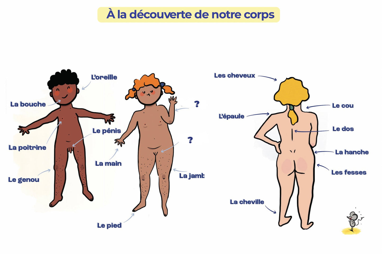 Kit EVAR pour maternelle et primaire. - Gang du Clito