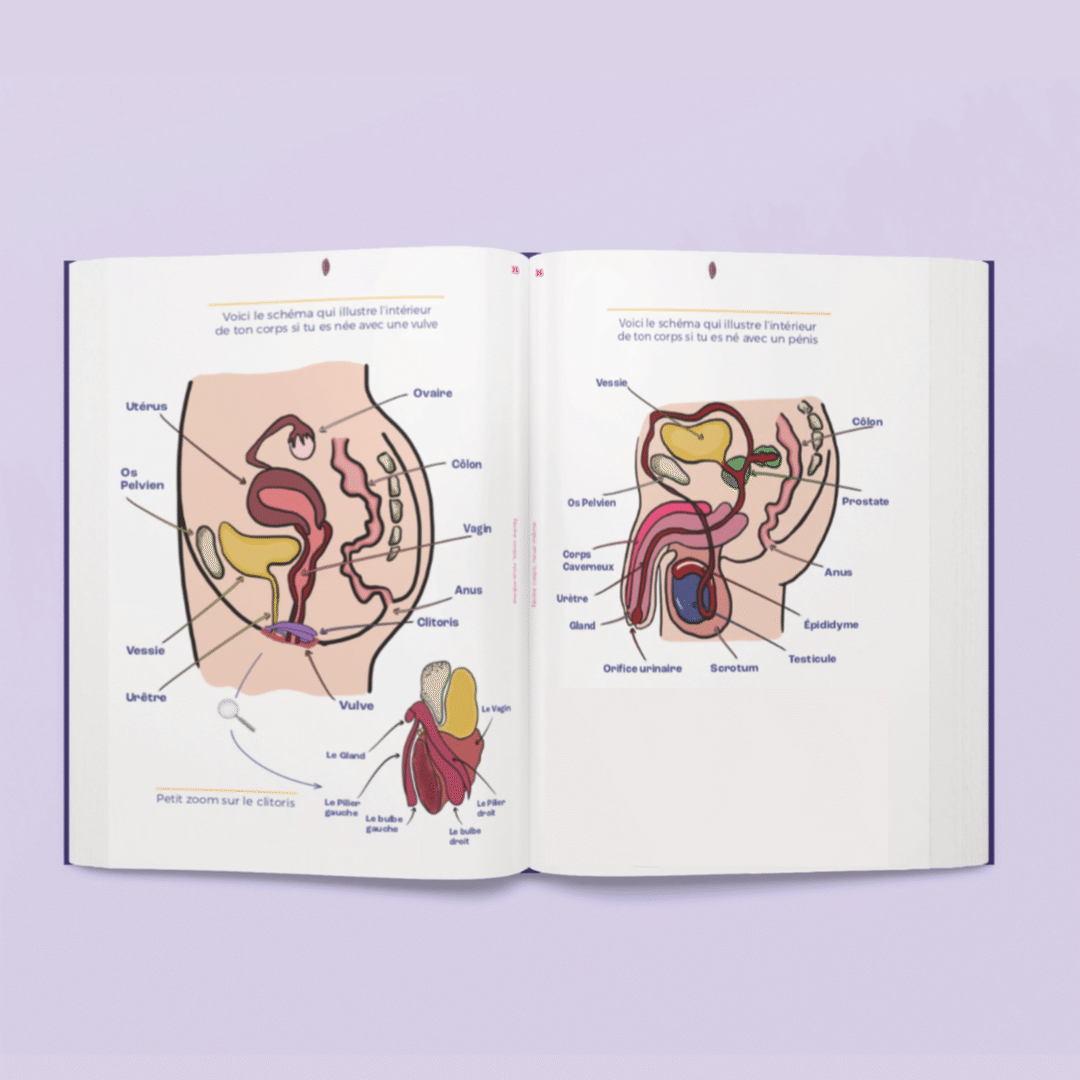 Le Petit Guide de la Foufoune Sexuelle", un livre d'éducation sexuelle88