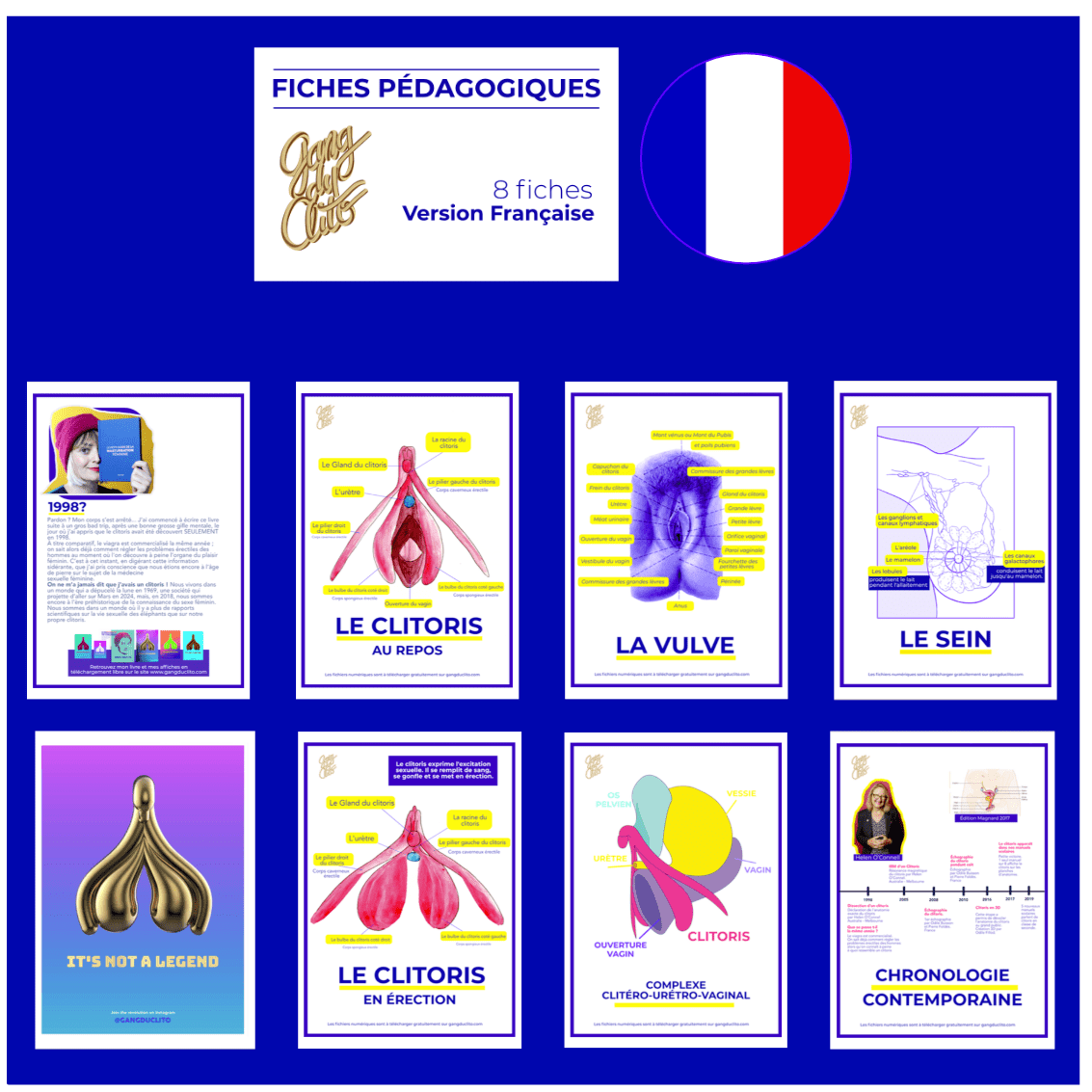 8 Fiches pédagogiques - Anatomie du clitoris, de la vulve et des seins - 🇫🇷 🇬🇧 🇪🇸 - Gang du Clito