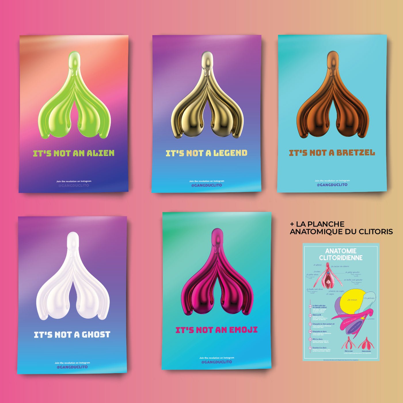 Pack 6 Affiches Anatomie du Clitoris - Gang du Clito