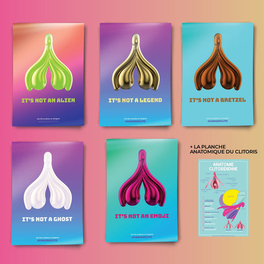 Pack 6 Affiches Anatomie du Clitoris - Gang du Clito