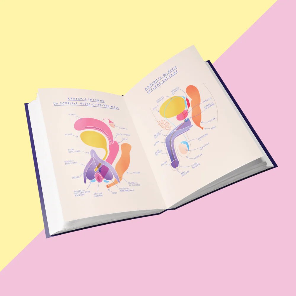 Pack đ BibliothĂšque anti-sexisme Ados 12- 18 ans - Gang du Clito