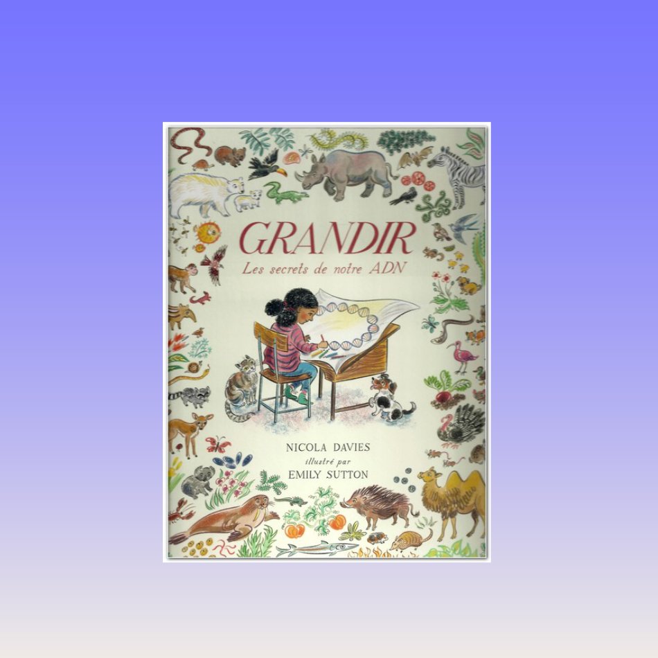 Pack ✨ Étincelle Grandir 4-12 ans - Gang du Clito