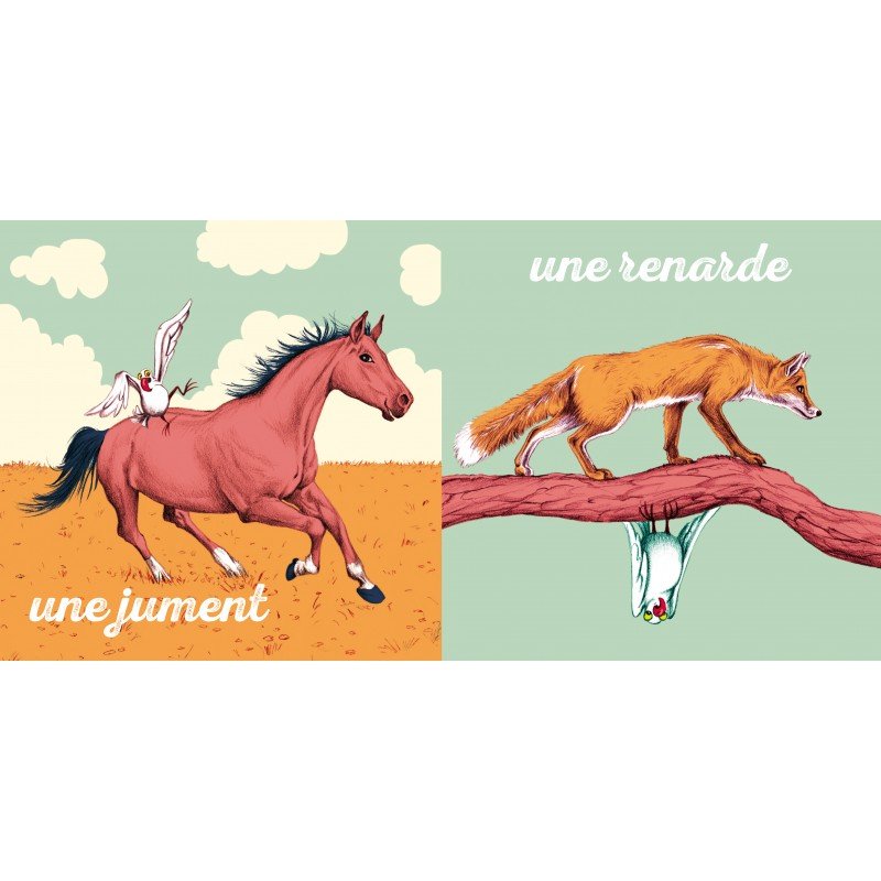 Pack ✨ Étincelle Grandir 4-12 ans - Gang du Clito