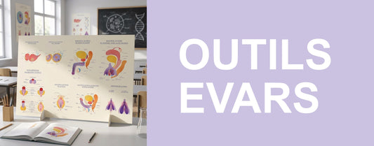 Enfin disponible : la planche anatomique EVARS qui révolutionne l'éducation à la vie affective, relationnelle et à la sexualité - Gang du Clito