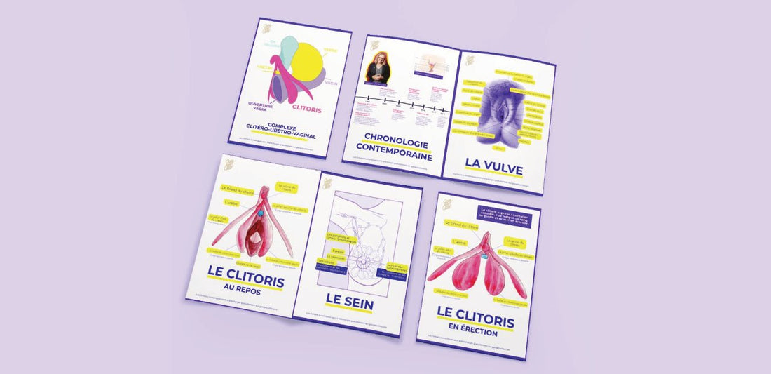 Fiches Pédagogiques : Anatomie du Clitoris, de la Vulve et des Seins - Un Outil Unique pour Éduquer et Sensibiliser - Gang du Clito