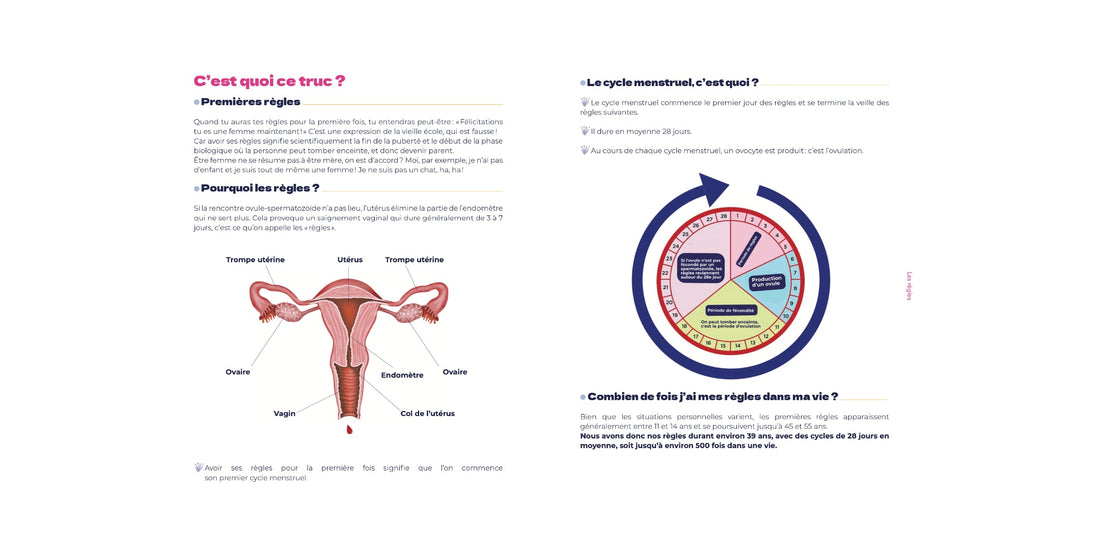 Livre Expliquant les Règles : Tout Comprendre sur les Menstruations - Gang du Clito