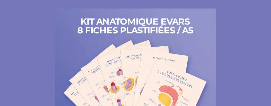 Comment préparer une séance EVARS ? Le guide pratique pour gagner du temps et animer des séances de qualité