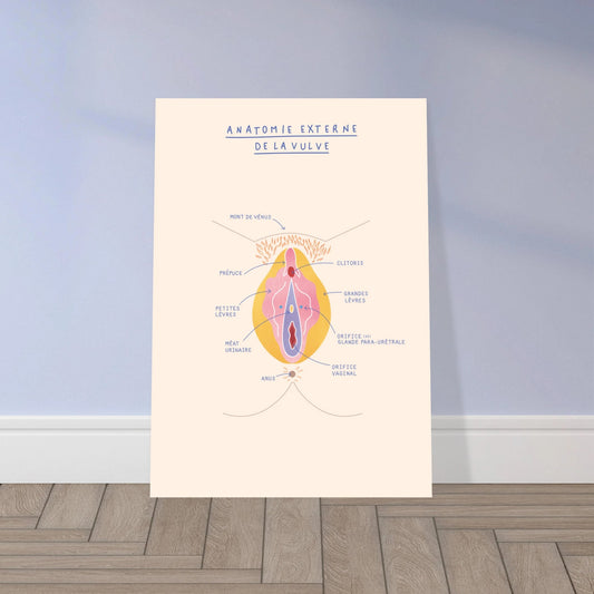 Anatomie externe de la vulve - Poster A3 - Gang du Clito