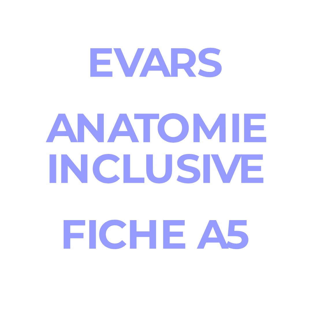 Kit anatomique EVARS - 8 fiches A5 - Gang du Clito