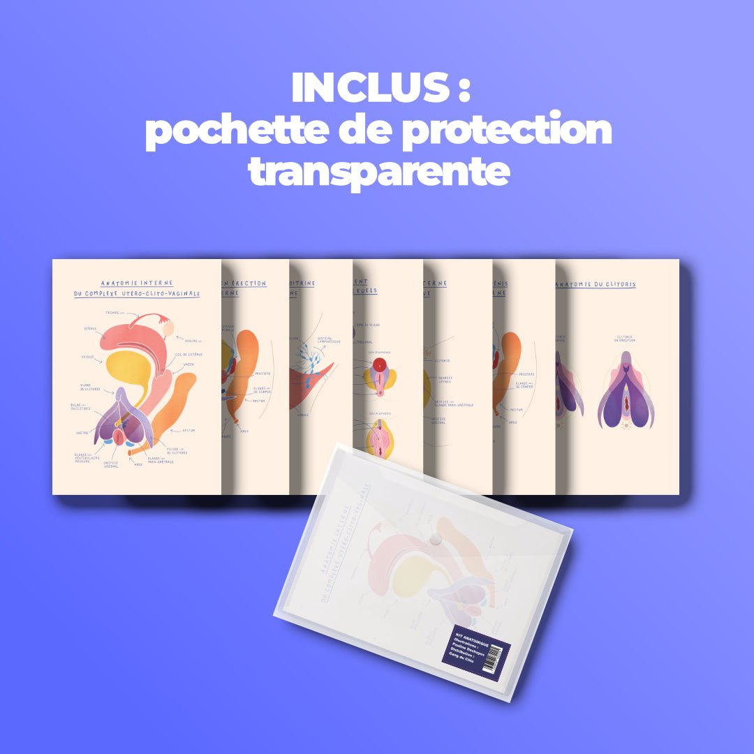 Kit anatomique EVARS - 8 fiches A5 - Gang du Clito