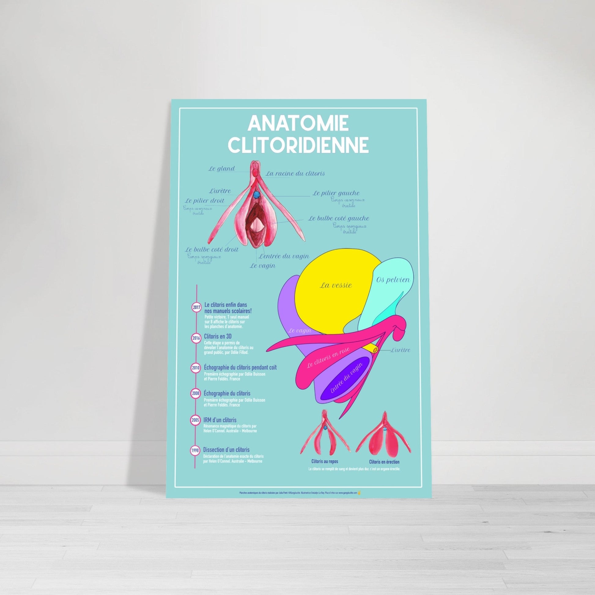 Poster anatomique du clitoris - Gang du Clito