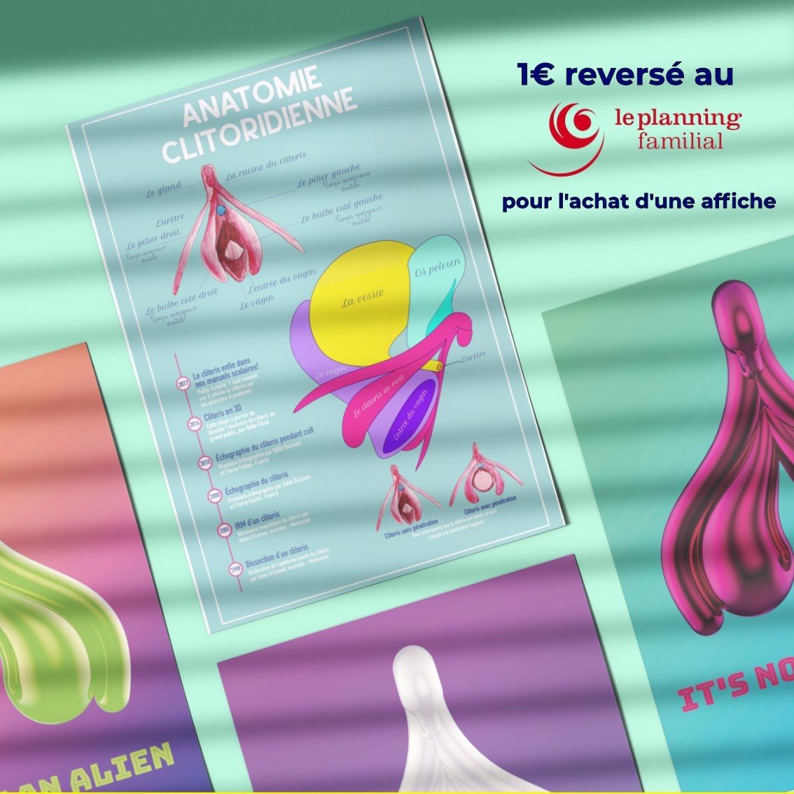 Pack 6 Affiches Anatomie du Clitoris - Gang du Clito